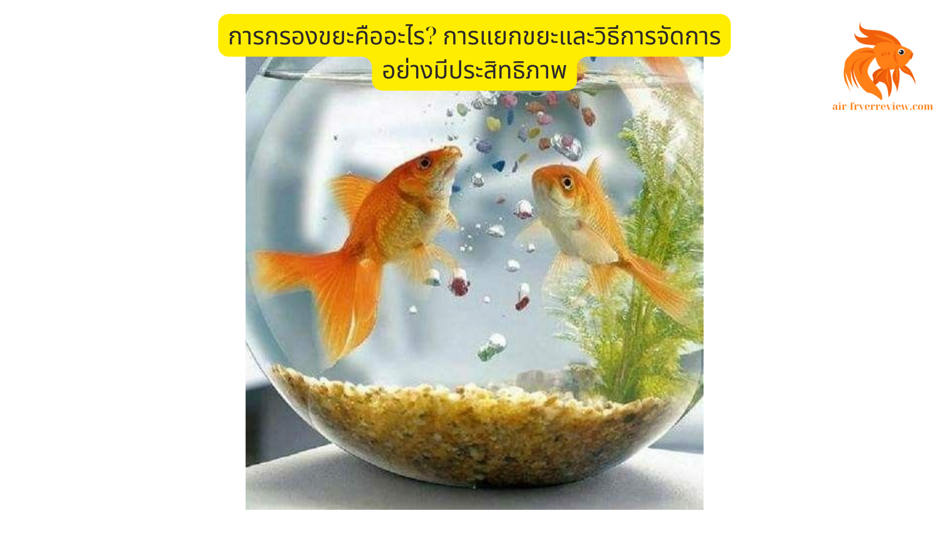 การกรองขยะคืออะไร การแยกขยะและวิธีการจัดการอย่างมีประสิทธิภาพ